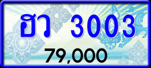 ทะเบียนรถ ฮว 3003 ผลรวม 0