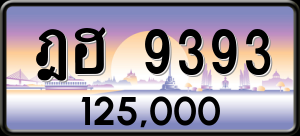 ทะเบียนรถ ฎฮ 9393 ผลรวม 0